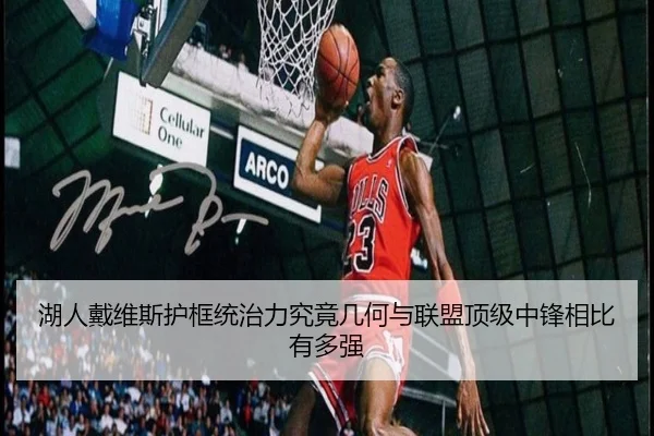 湖人戴维斯护框统治力究竟几何与联盟顶级中锋相比有多强