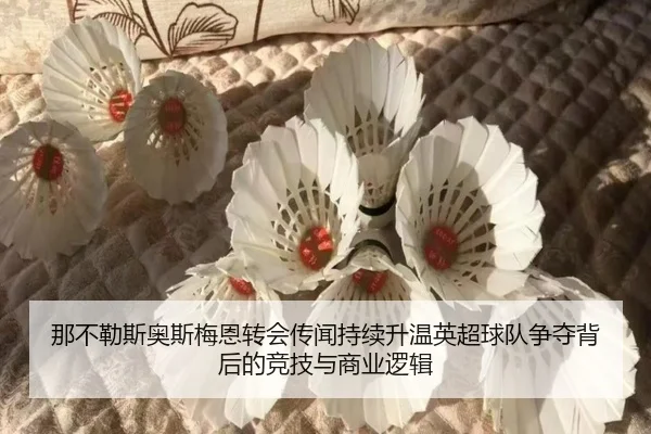 那不勒斯奥斯梅恩转会传闻持续升温英超球队争夺背后的竞技与商业逻辑